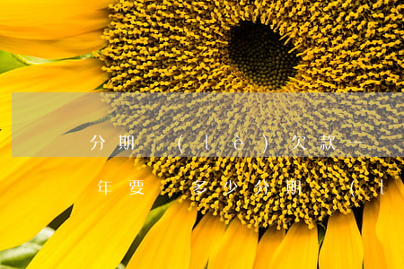 分期樂(lè)欠款一萬(wàn)逾期三年要還多少(分期樂(lè)欠兩萬(wàn),逾期一個(gè)月了,一共得還多少)