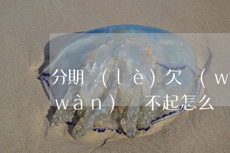 分期樂(lè)欠網(wǎng)貸一萬(wàn)還不起怎么辦-分期樂(lè)欠了一萬(wàn)多還不上逾期有什么后果