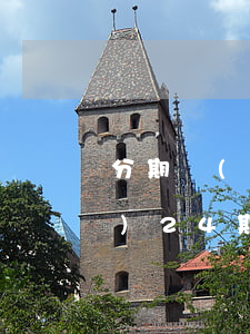 分期樂(lè)每月25免息 分期樂(lè)24期免息