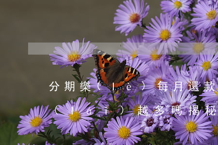 分期樂(lè)每月還款會(huì)越來(lái)越多嗎，揭秘分期樂(lè)還款趨勢(shì)：每月還款是否會(huì)越來(lái)越多？