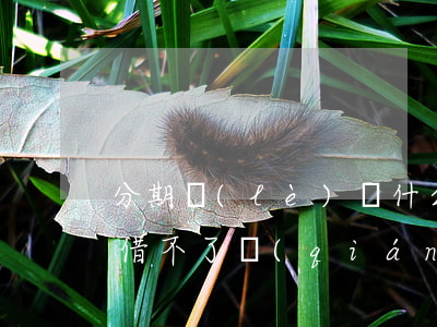 分期樂(lè)為什么沒(méi)有逾期借不了錢(qián)-