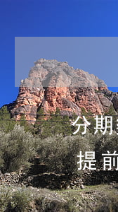 分期樂(lè)的分期買(mǎi)鴨可以提前還款么-分期樂(lè)買(mǎi)鴨可以提前還款嗎