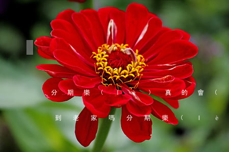 分期樂(lè)真的會(huì)寄律師函到老家嗎(分期樂(lè)寄律師函是寄什么快遞)