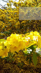 分期樂(lè)突然分期還款不了怎么辦-分期樂(lè)為什么無(wú)法還款