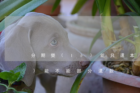 分期樂(lè)能只還本金么 分期樂(lè)能不能部分還款