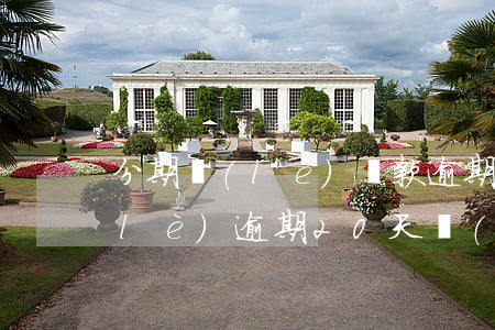 分期樂(lè)貸款逾期處理方案(分期樂(lè)逾期20天,發(fā)短信說(shuō)已經(jīng)嚴(yán)重逾期)