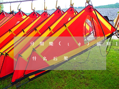 分期樂(lè)逾期12天會(huì)有什么后果-