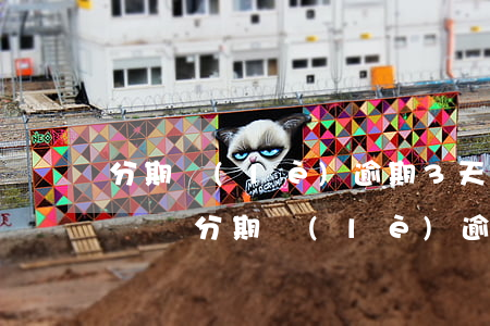 分期樂(lè)逾期3天會(huì)被起訴嗎(分期樂(lè)逾期三個(gè)月,發(fā)信息說(shuō)被起訴了)