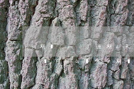 分期樂(lè)逾期6天了,手頭沒(méi)錢了怎么辦啊（分期樂(lè)逾期了6天會(huì)怎么樣）