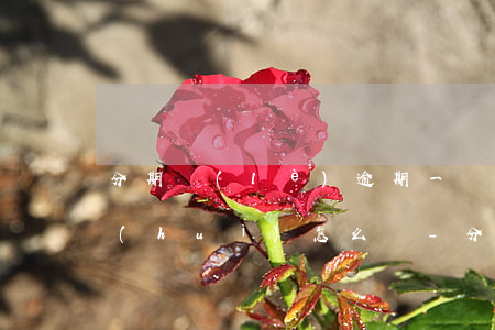 分期樂(lè)逾期一個(gè)月再還會(huì)怎么樣-分期樂(lè)逾期了一個(gè)月會(huì)有什么后果?