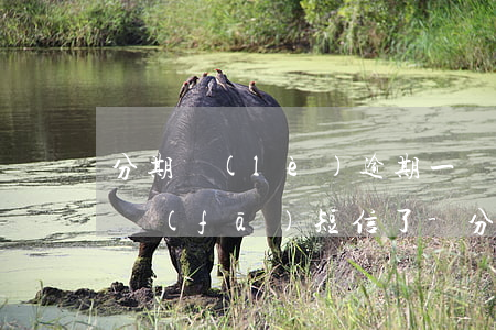 分期樂(lè)逾期一個(gè)月給家人發(fā)短信了-分期樂(lè)逾期一個(gè)月,發(fā)信息說(shuō)被起訴了