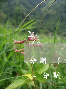 分期樂(lè)逾期一千上門走訪是真的嗎-分期樂(lè)逾期了說(shuō)要走訪上門是真的嗎