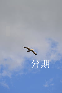 分期樂(lè)逾期一天不能借了怎么辦-
