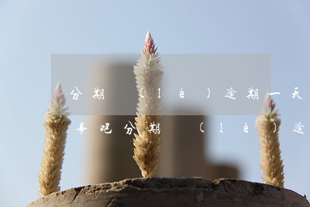 分期樂(lè)逾期一天兩天沒(méi)事吧（分期樂(lè)逾期一天兩天沒(méi)事吧）