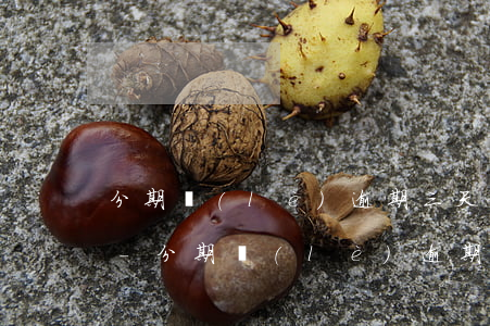 分期樂(lè)逾期三天后還上還能再借嗎-分期樂(lè)逾期三天后還款還可以再借嗎
