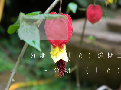 分期樂(lè)逾期三天會(huì)怎么樣-分期樂(lè)逾期三天會(huì)怎么樣