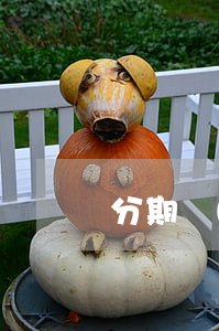 分期樂(lè)逾期上征信么
