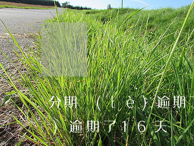 分期樂(lè)逾期了16天 分期樂(lè)逾期了16天