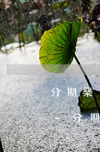 分期樂(lè)逾期了怎么看自己欠多少錢-分期樂(lè)怎么看一共欠費(fèi)多少錢