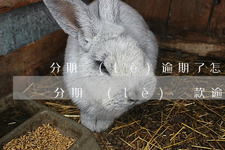分期樂(lè)逾期了怎么還款不用利息-分期樂(lè)貸款逾期沒(méi)錢(qián)還,利息如何計(jì)算
