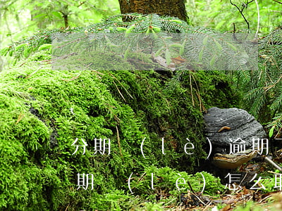 分期樂(lè)逾期了能辦工商信用卡嗎 分期樂(lè)怎么取消申請(qǐng)信用卡