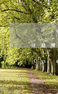 分期樂(lè)逾期了要不要上法院（分期樂(lè)逾期了要不要上法院）