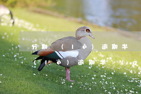 分期樂(lè)逾期半個(gè)月(分期樂(lè)逾期半個(gè)月后還款為什么不能用了)