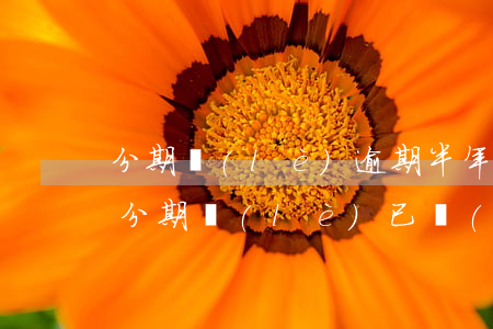 分期樂(lè)逾期半年還完還可以用嗎-分期樂(lè)已經(jīng)逾期了半年還沒(méi)有還會(huì)怎么樣
