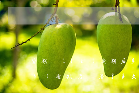 分期樂(lè)逾期后多久還款(分期樂(lè)逾期后還清了多久還能繼續(xù)使用)