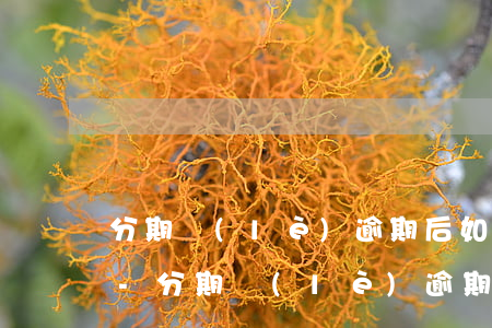 分期樂(lè)逾期后如何打電話反映情況-分期樂(lè)逾期給聯(lián)系人打電話算違法嗎