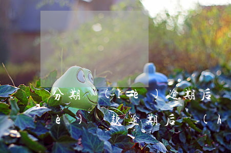 分期樂(lè)逾期后還能借嗎(分期樂(lè)貸款逾期后會(huì)不會(huì)不能分期還了)