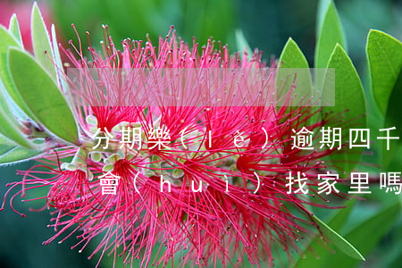 分期樂(lè)逾期四千塊錢(qián)會(huì)找家里嗎-分期樂(lè)欠4000塊錢(qián)逾期了會(huì)被起訴嗎