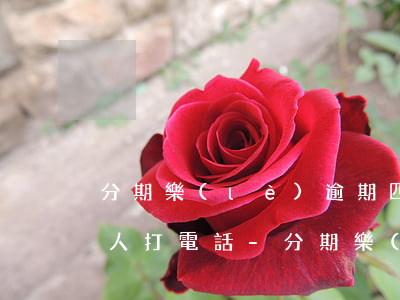 分期樂(lè)逾期四天沒(méi)給本人打電話-分期樂(lè)逾期了4天打電話也沒(méi)接怎么就不能用了