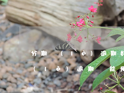 分期樂(lè)逾期好久能辦信用卡(分期樂(lè)逾期還能用好分期申請(qǐng)額度嗎)