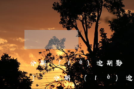 分期樂(lè)逾期影響其他網(wǎng)貸(分期樂(lè)逾期一個(gè)月還款有什么影響嗎)