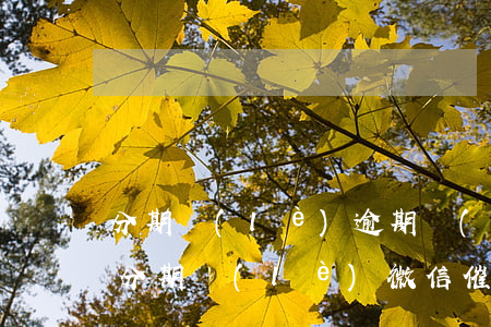分期樂(lè)逾期會(huì)炸微信嗎 分期樂(lè)微信催款是真的嗎