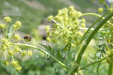 分期樂(lè)逾期發(fā)短信說(shuō)起訴(分期樂(lè)逾期發(fā)短信說(shuō)起訴退訂回復(fù)T)