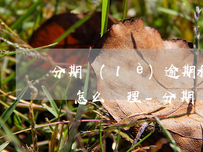 分期樂(lè)逾期私人號(hào)碼威脅怎么處理-分期樂(lè)逾期30天,有私人號(hào)碼發(fā)短信說(shuō)要起訴