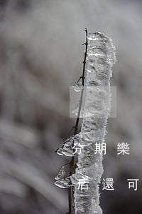 分期樂(lè)逾期被凍結(jié) 還清后還可以借嗎（分期樂(lè)逾期兩萬(wàn)會(huì)凍結(jié)支付寶嗎）