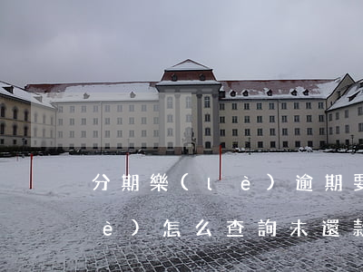 分期樂(lè)逾期要怎么看-分期樂(lè)怎么查詢未還款賬單