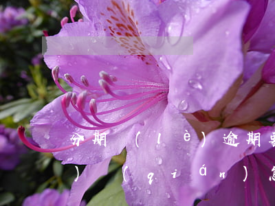 分期樂(lè)逾期要我一次性沒(méi)錢(qián)怎么辦-分期樂(lè)逾期要求一次性結(jié)清還不起咋辦