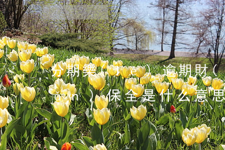 分期樂(lè)逾期財(cái)產(chǎn)保全是什么意思-分期樂(lè)申請(qǐng)財(cái)產(chǎn)保全