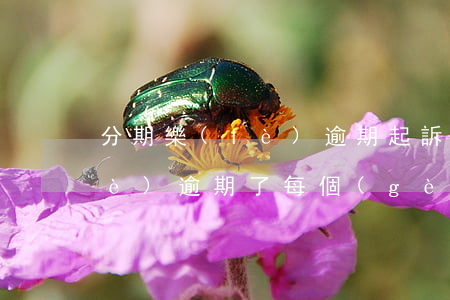 分期樂(lè)逾期起訴后還款(分期樂(lè)逾期了每個(gè)月還一點(diǎn)會(huì)不會(huì)起訴)