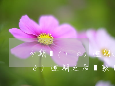 分期樂(lè)逾期追還款程序(分期樂(lè)逾期之后還款還可以再借款嗎)