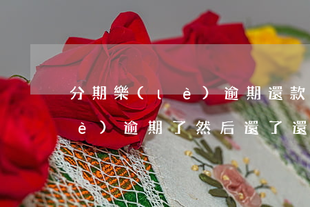 分期樂(lè)逾期還款兩年了(分期樂(lè)逾期了然后還了還借的出來(lái)嗎)