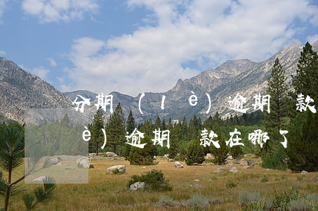 分期樂(lè)逾期還款在哪了?(分期樂(lè)逾期還款在哪了?)