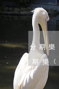 分期樂(lè)逾期還款時(shí)間(分期樂(lè)逾期一天后還款還能繼續(xù)借款嗎)