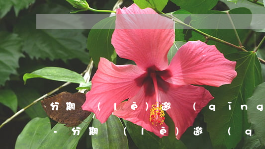 分期樂(lè)邀請(qǐng)免息額度-分期樂(lè)邀請(qǐng)免息額度