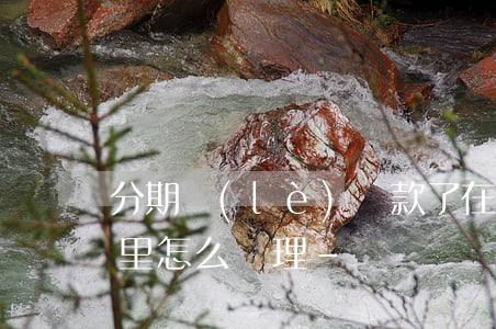 分期樂(lè)還款了在錢(qián)包里怎么處理-