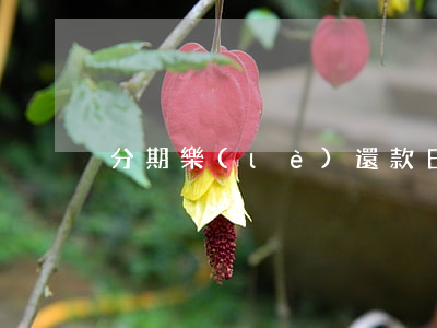 分期樂(lè)還款日晚上還款算逾期嗎-